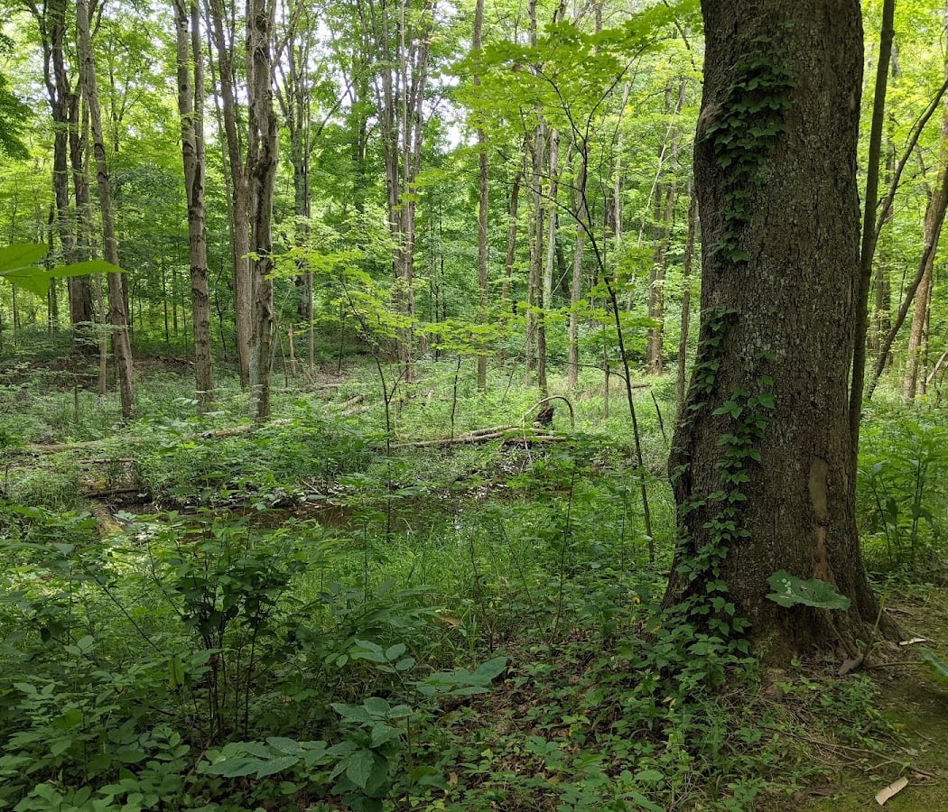 Carlisle Reservation 4